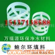 供應(yīng)河南鮑爾環(huán) 鮑爾環(huán)填料